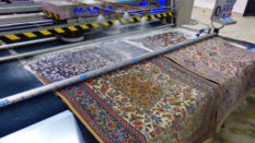 Körfez halı yıkama